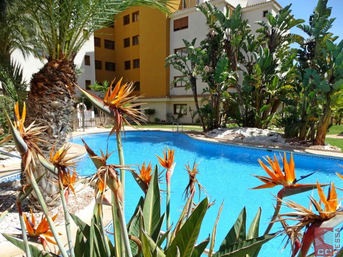 Apartamento Eleonor, La Entrada, Punta Prima, Torrevieja Exterior photo